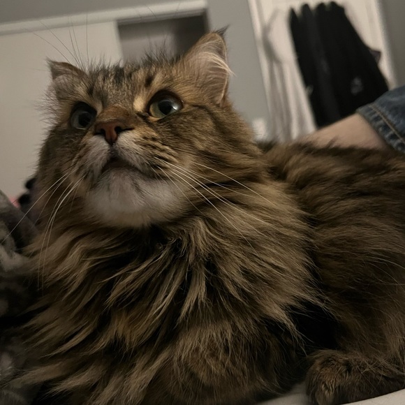 trade post for jncos - Picture 1 of 1